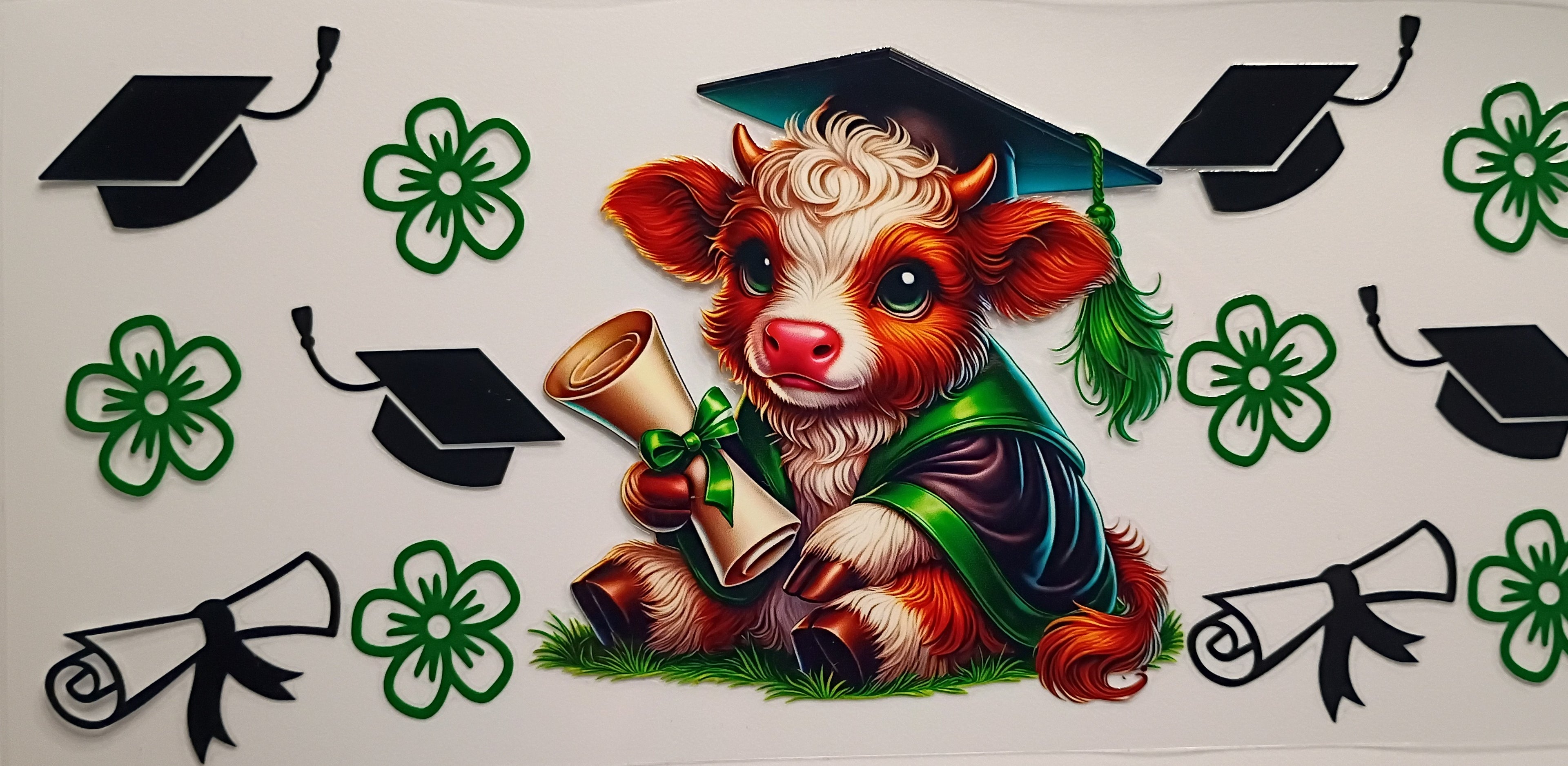 Graduation Highland Cow