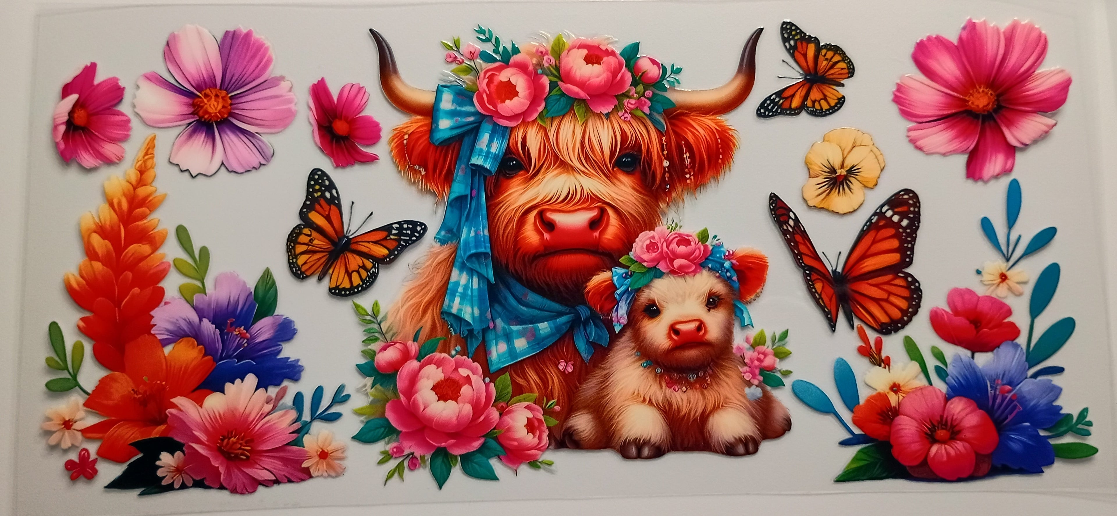 Highland Cow