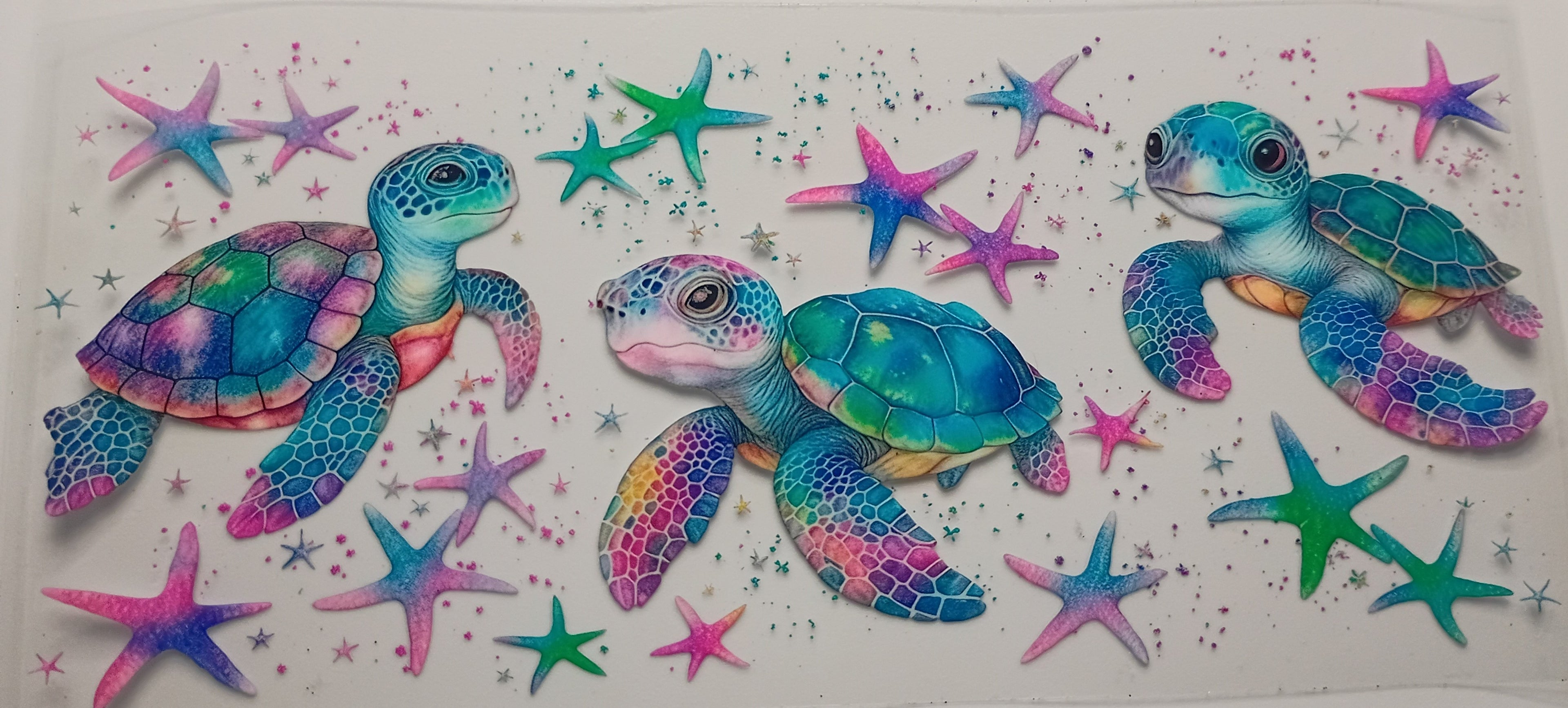 sea turtle & star fish