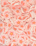 Pink and white flowers