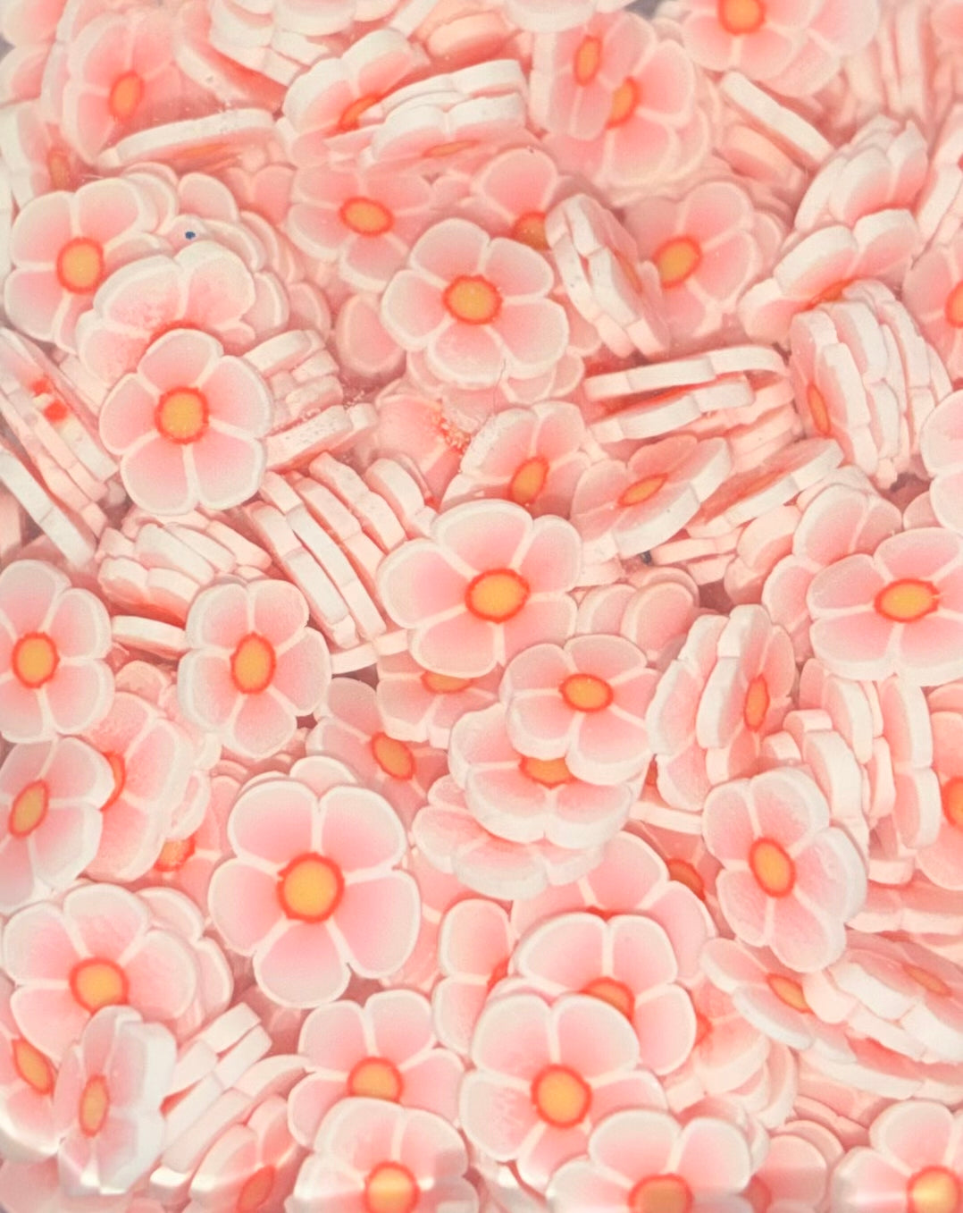 Pink and white flowers