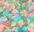 Colorful Leaves