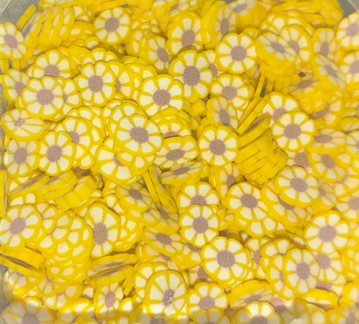 Yellow Flowers