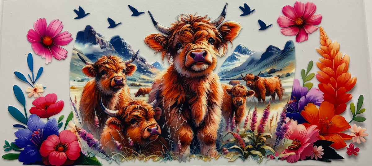 Highland Cow