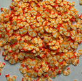 Shrimp