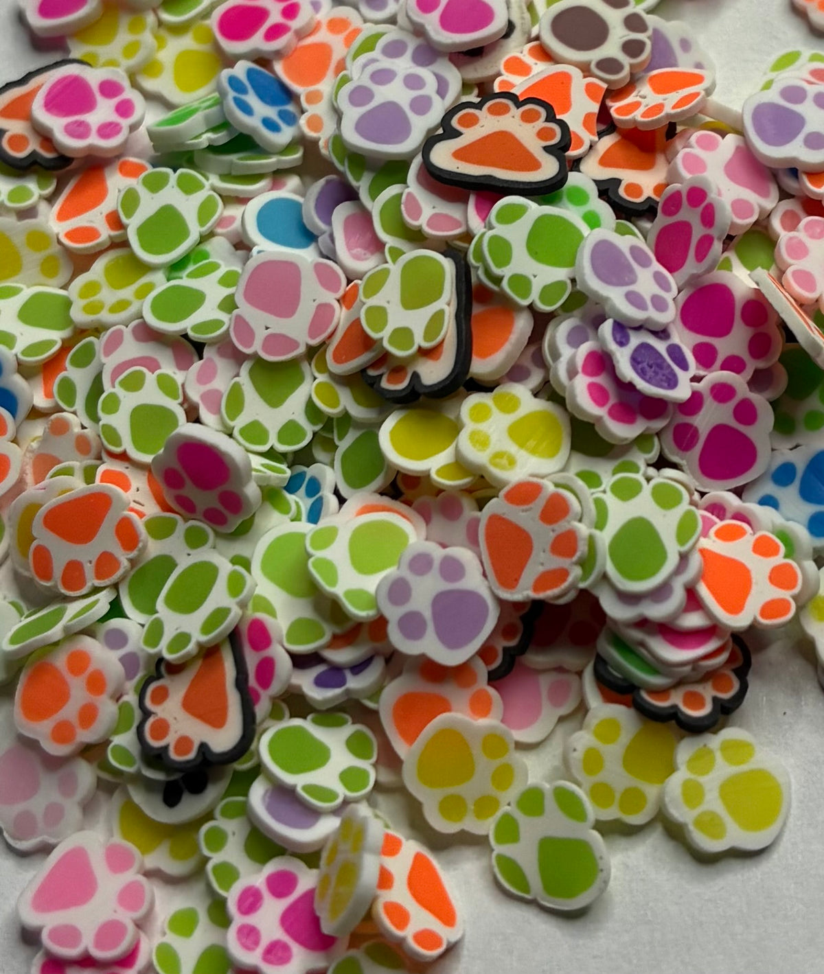 Paw Print
