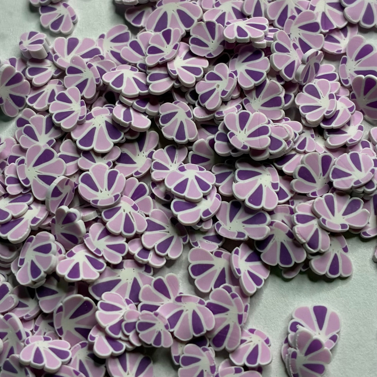 Purple seashells