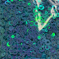 Blue Ring Circles