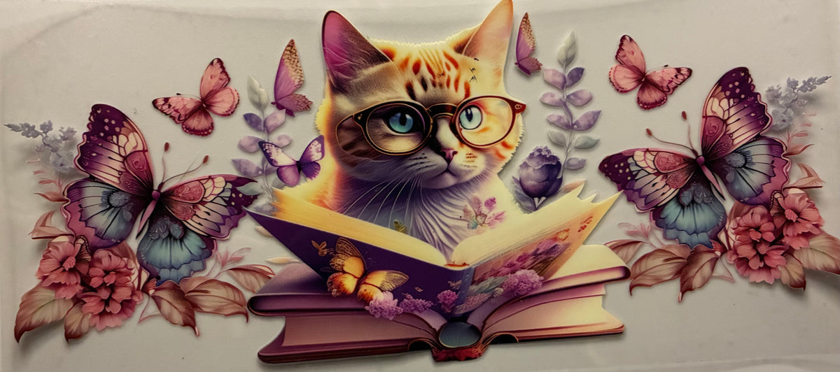books and cat